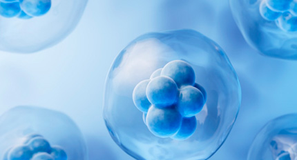 科艺融合赋新篇 生命美学启未来   专访中赛集团创始人韩亚娟